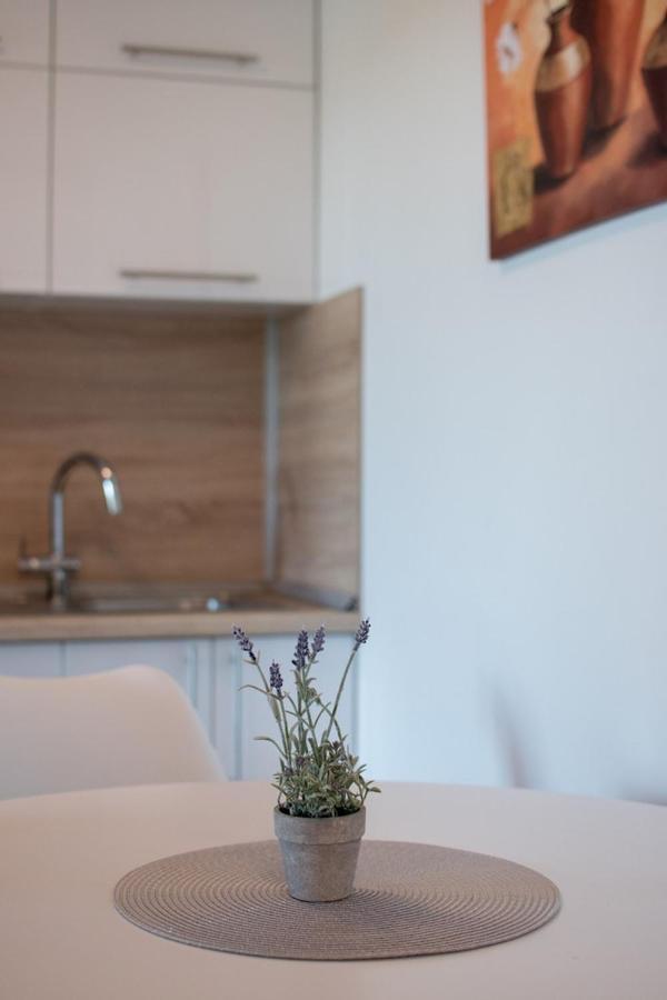 Lavanda House With Apartments بوجي المظهر الخارجي الصورة